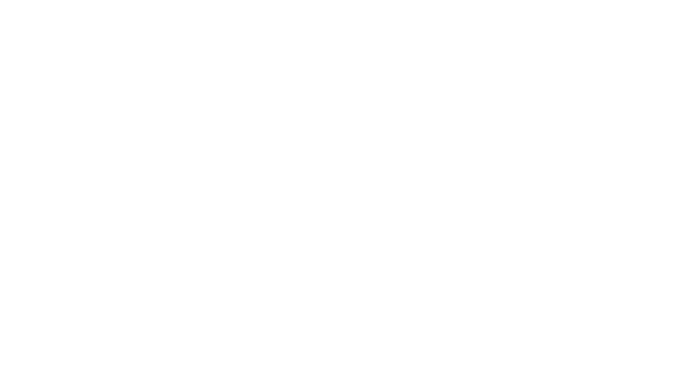 Palworld Trading Card Game