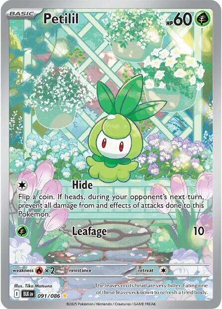 Petilil Holo Illustration Rare SV: Black Bolt 091/086 NM