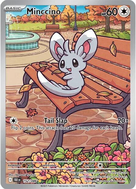 Minccino (152/086) IR BLK Black Bolt